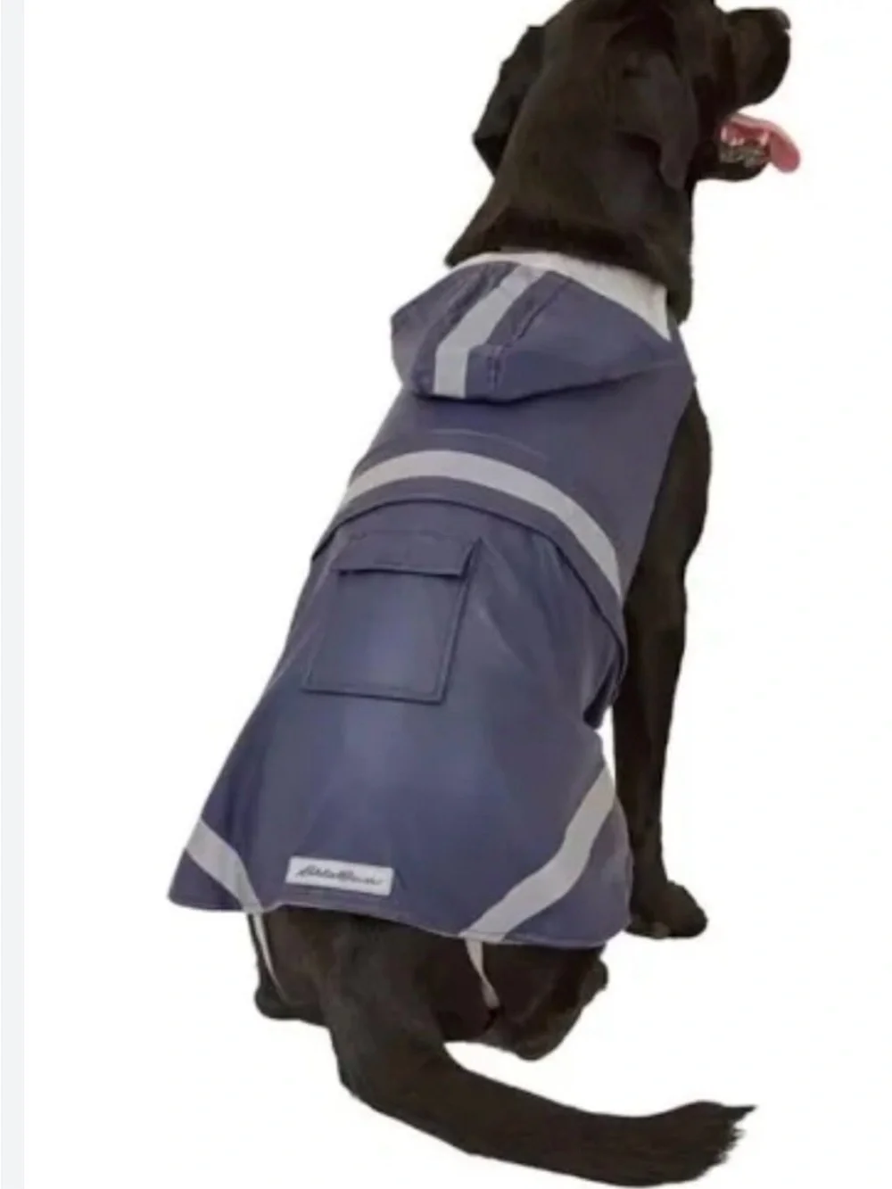 Eddie Bauer Navy and Yellow Reflective Dog Raincoat with Hood